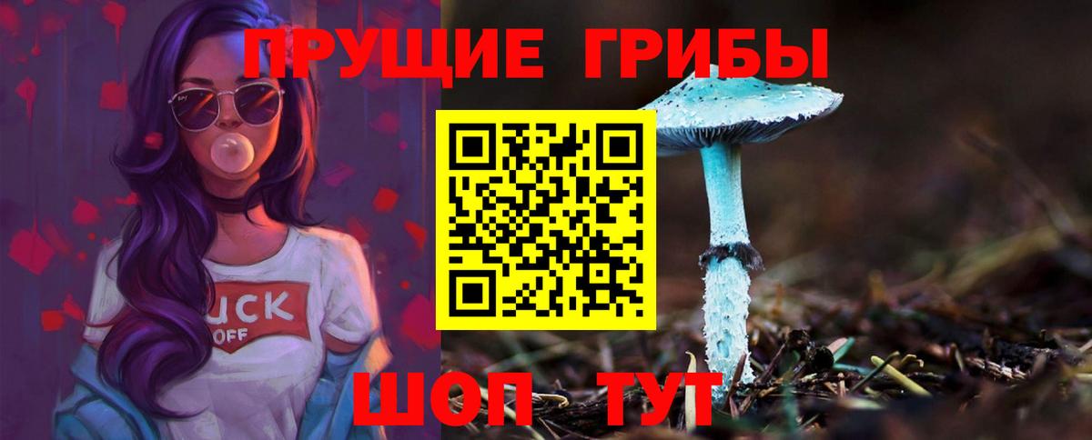 Галлюциногенные грибы Psilocybine cubensis  Вход с VPN  Галлюциногенные грибы мицелий  Железноводск 